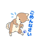 柴犬さん。のスタンプ。（個別スタンプ：11）