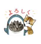 Daily of Tabby Cats 2（個別スタンプ：6）