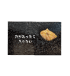 クランウェルツノガエル♂の、でたらめ君。（個別スタンプ：8）