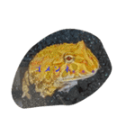 クランウェルツノガエル♂の、でたらめ君。（個別スタンプ：15）
