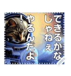 宇宙猫☆宇宙飛行士しか勝たん（個別スタンプ：14）