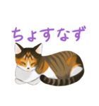 ジジとミミの山形弁スタンプ（個別スタンプ：9）