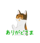 ジジとミミの山形弁スタンプ（個別スタンプ：13）
