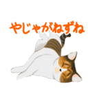 ジジとミミの山形弁スタンプ（個別スタンプ：17）