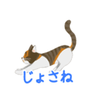 ジジとミミの山形弁スタンプ（個別スタンプ：19）
