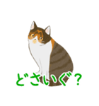 ジジとミミの山形弁スタンプ（個別スタンプ：23）