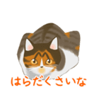 ジジとミミの山形弁スタンプ（個別スタンプ：31）
