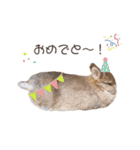 吾輩はあぐである。（個別スタンプ：13）