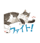 キジトラ白の猫たち（個別スタンプ：14）