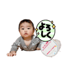 虎煌くんスタンプ3（個別スタンプ：3）
