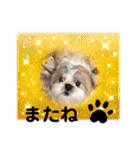 ショータ君の挨拶（個別スタンプ：8）