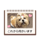 ショータ君の挨拶（個別スタンプ：12）