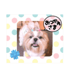 ショータ君の挨拶（個別スタンプ：13）