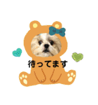 ショータ君の挨拶（個別スタンプ：16）