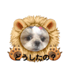ショータ君の挨拶（個別スタンプ：23）
