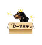 優莉と愉快な仲間たち。第2弾（個別スタンプ：28）