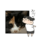 24/English/cat/保護猫挨拶スタンプ（個別スタンプ：11）