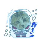 24/English/cat/保護猫挨拶スタンプ（個別スタンプ：20）