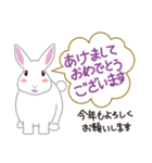 新年小さな動物たち（個別スタンプ：1）