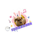 MOTSUオリジナル（個別スタンプ：15）