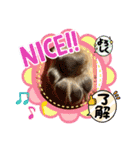 MOTSUオリジナル（個別スタンプ：23）