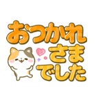 ねこねこにゃんこ♡カラフルデカ文字（個別スタンプ：23）