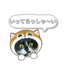 北の国オールスターズDF＆DS特盛り（個別スタンプ：9）