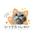 北の国オールスターズDF＆DS特盛り（個別スタンプ：10）