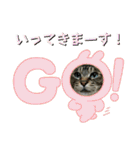 北の国オールスターズDF＆DS特盛り（個別スタンプ：11）