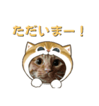 北の国オールスターズDF＆DS特盛り（個別スタンプ：13）
