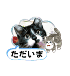 北の国オールスターズDF＆DS特盛り（個別スタンプ：14）