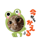 北の国オールスターズDF＆DS特盛り（個別スタンプ：17）