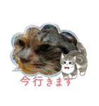 北の国オールスターズDF＆DS特盛り（個別スタンプ：18）