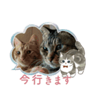 北の国オールスターズDF＆DS特盛り（個別スタンプ：20）