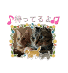 北の国オールスターズDF＆DS特盛り（個別スタンプ：21）
