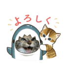 北の国オールスターズDF＆DS特盛り（個別スタンプ：26）