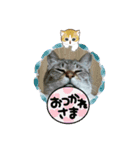 北の国オールスターズDF＆DS特盛り（個別スタンプ：27）