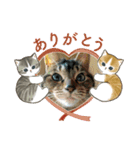 北の国オールスターズDF＆DS特盛り（個別スタンプ：33）