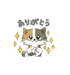 こちねこスタンプ（個別スタンプ：4）