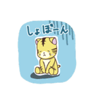 とらねこの日常スタンプ（個別スタンプ：5）