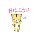 とらねこの日常スタンプ（個別スタンプ：8）