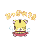 とらねこの日常スタンプ（個別スタンプ：14）