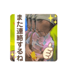 ときのすたんぷやでぇ（個別スタンプ：30）