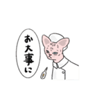 猫のスフィンクス（個別スタンプ：14）