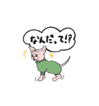 猫のスフィンクス（個別スタンプ：27）