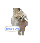 mostamp3（個別スタンプ：5）