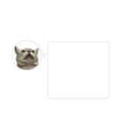 mostamp3（個別スタンプ：8）