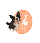 ルークスタンプ③（個別スタンプ：1）