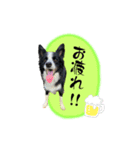 ルークスタンプ③（個別スタンプ：4）