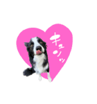 ルークスタンプ③（個別スタンプ：6）